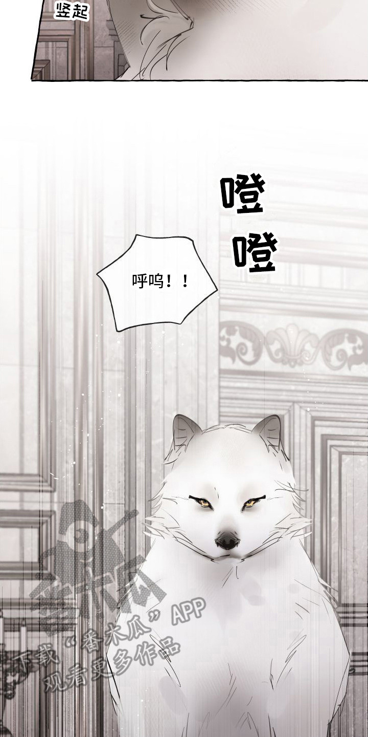 第4章：还活着19
