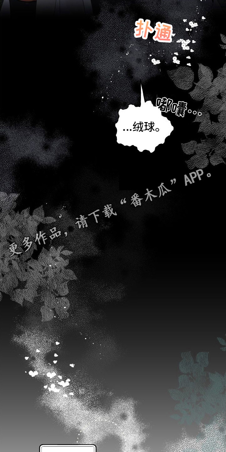 第13章：熟悉的身影10