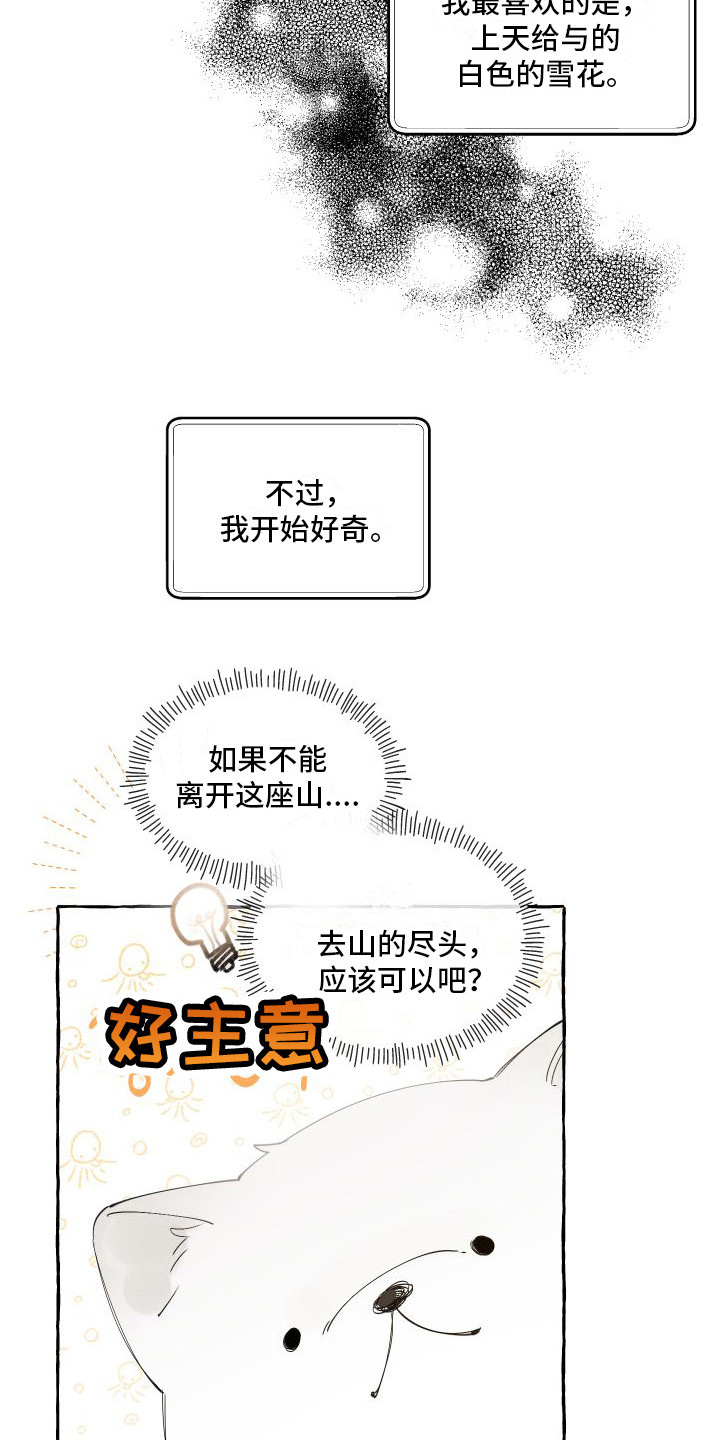 第14章：绒球21