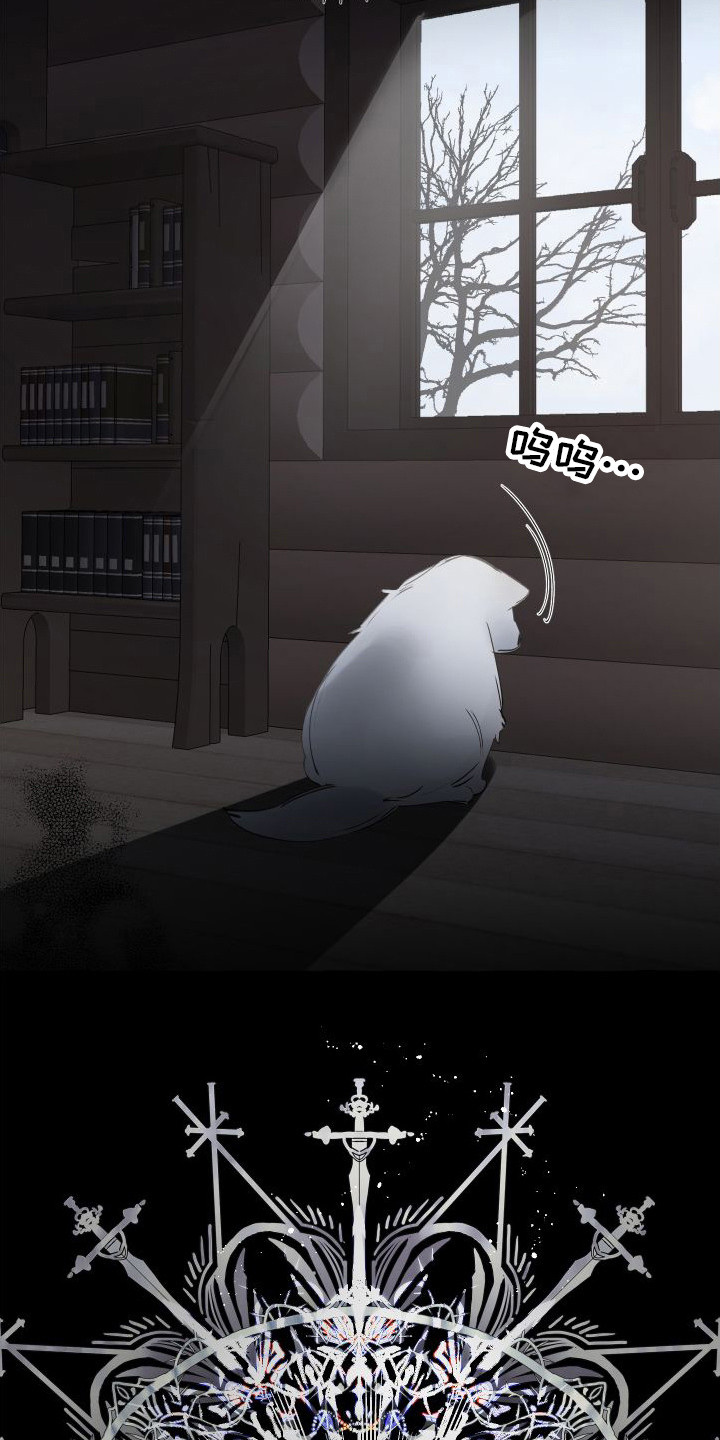 第14章：绒球18