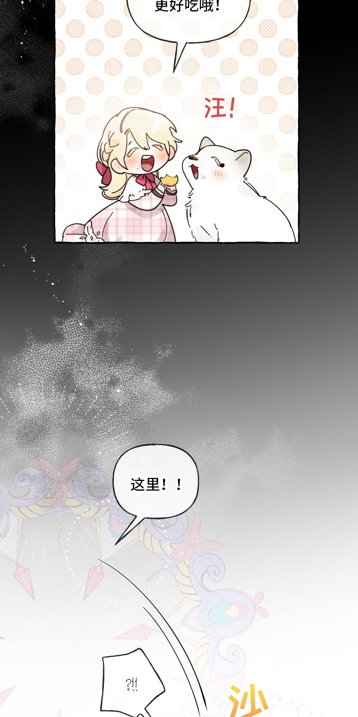 第14章：绒球8