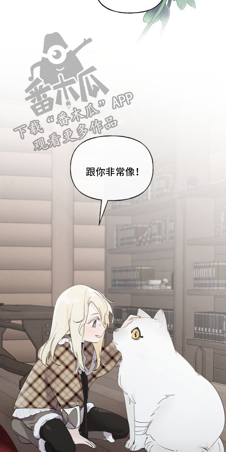 第14章：绒球1