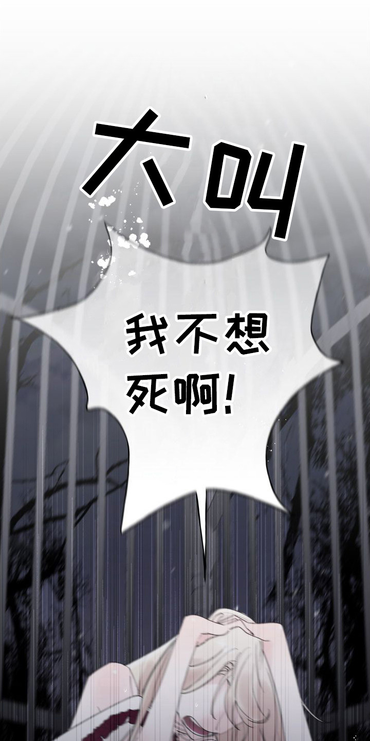第3章：白色巨狼10