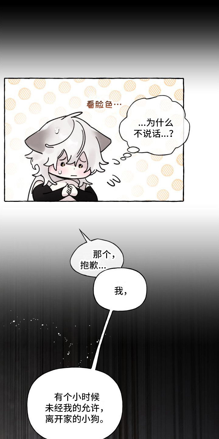 第16章：感到混乱20
