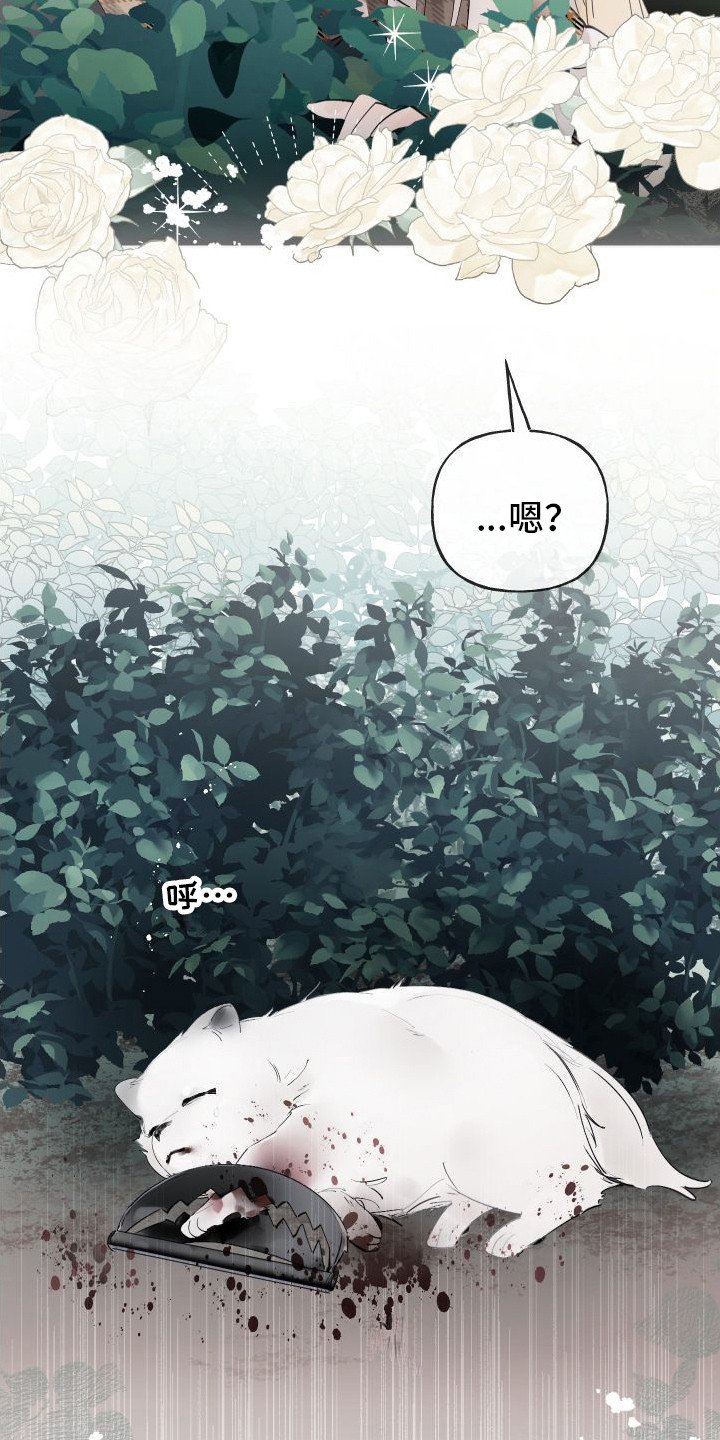 第13章：熟悉的身影12