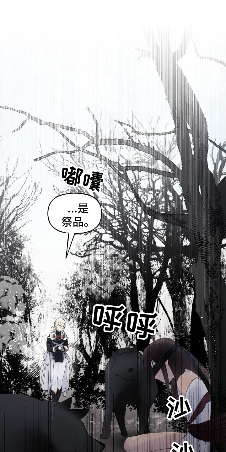 第12章： 另外的祭品13