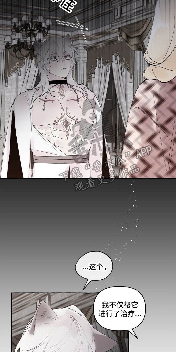 第16章：感到混乱22