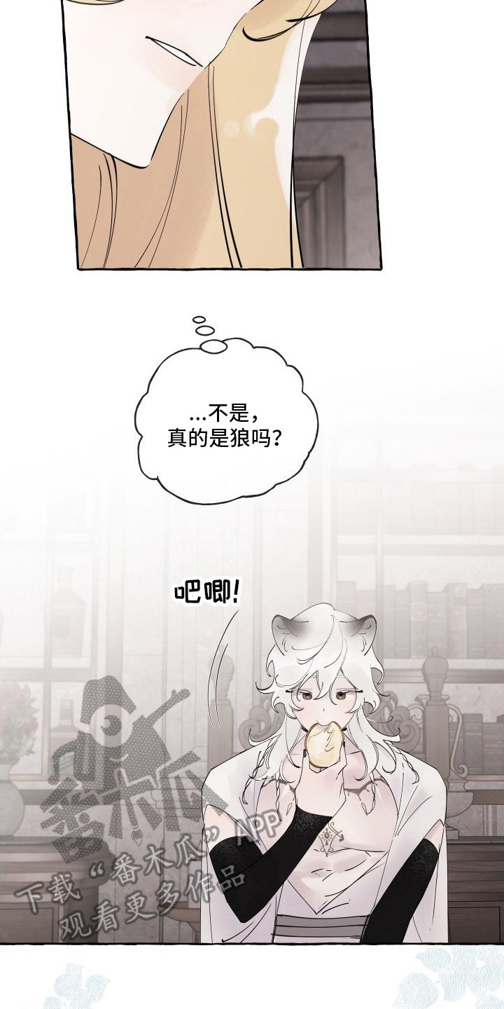 第5章：窝棚13