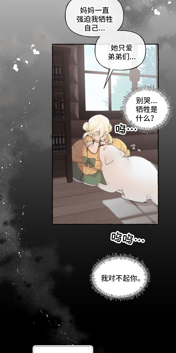 第14章：绒球6