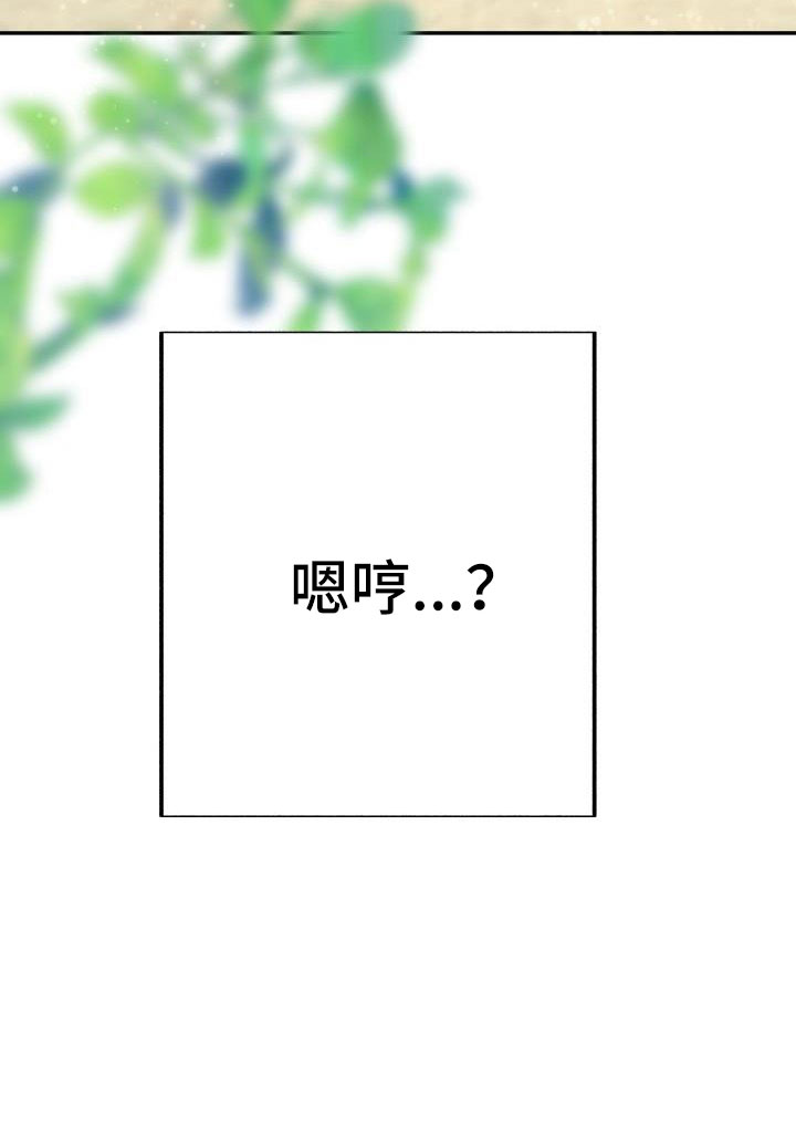 第35章：非常适应33