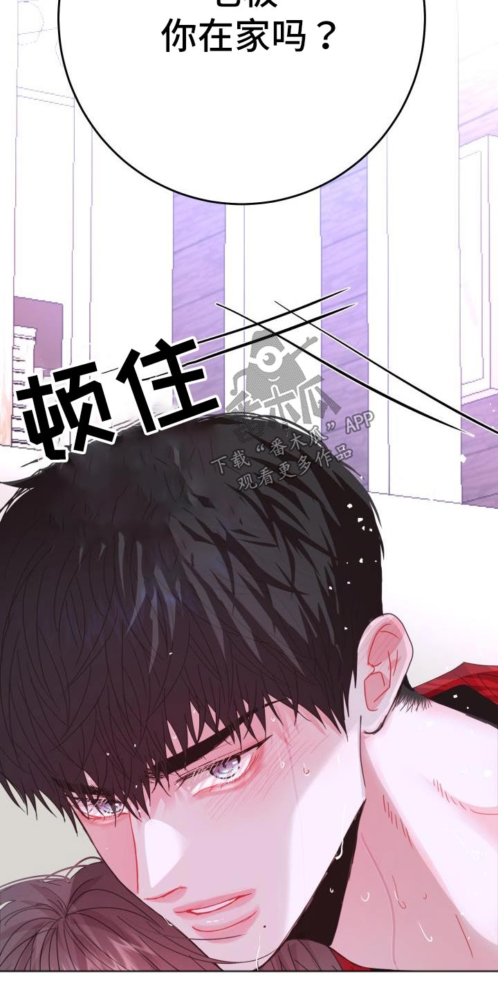 第44章：有人13