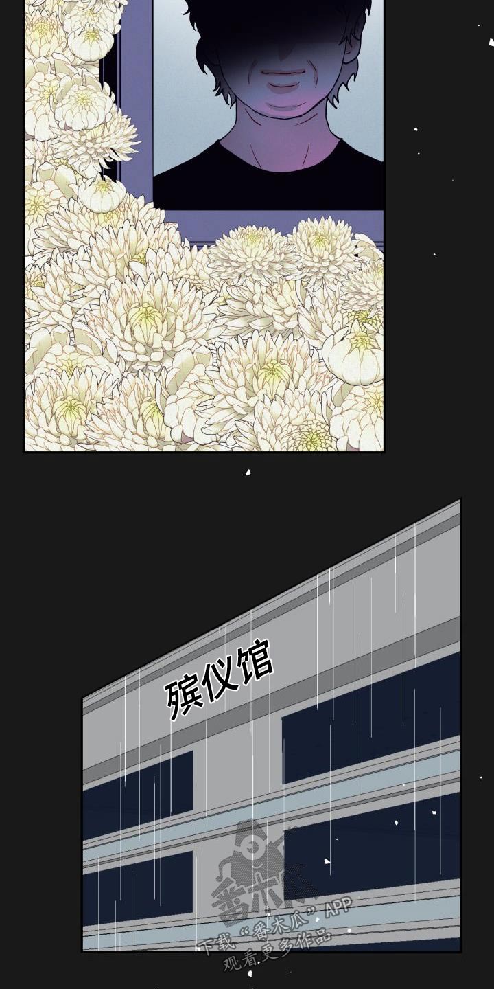 第50章：你是我的6
