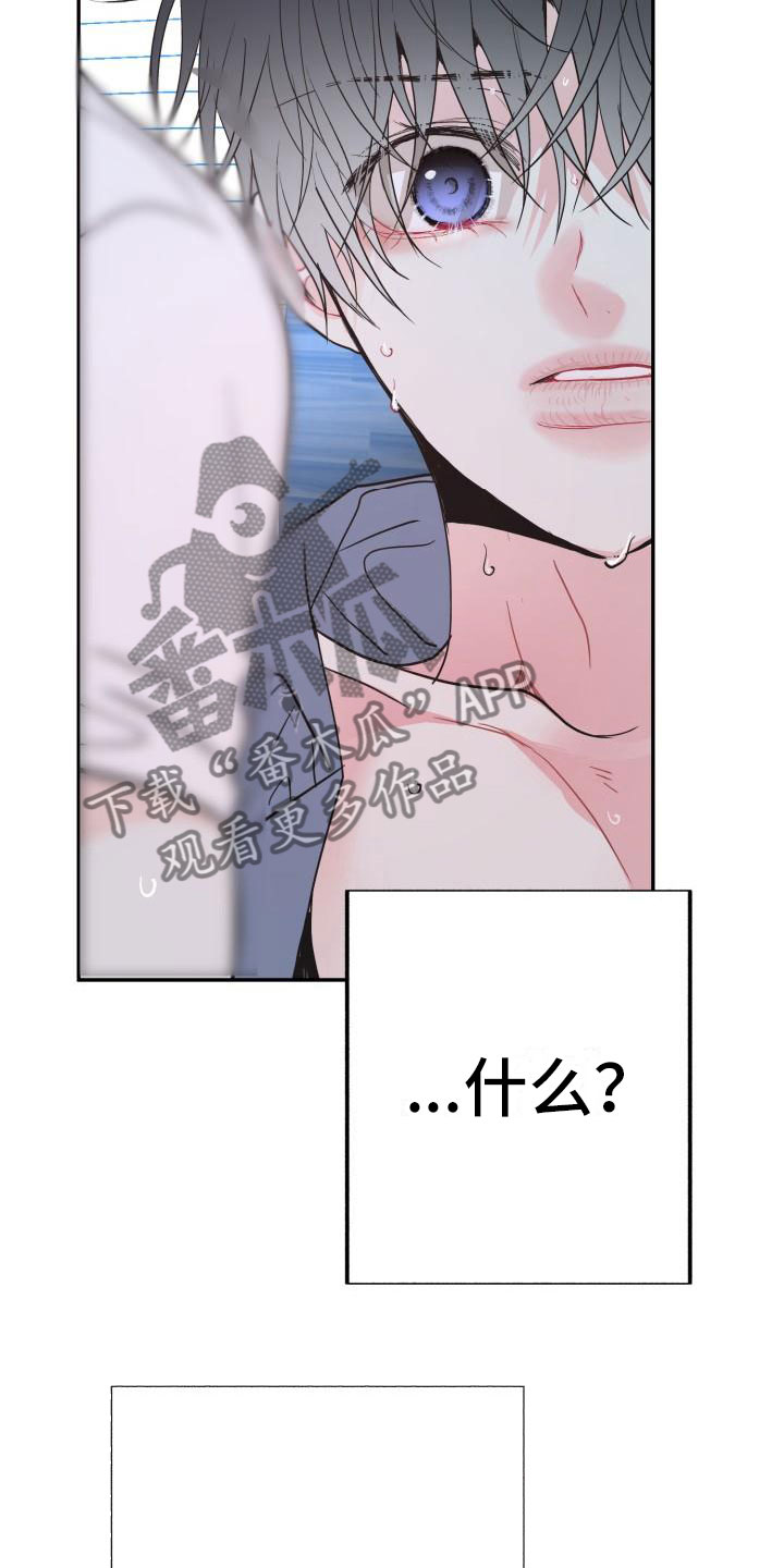 第10章：尝鲜12