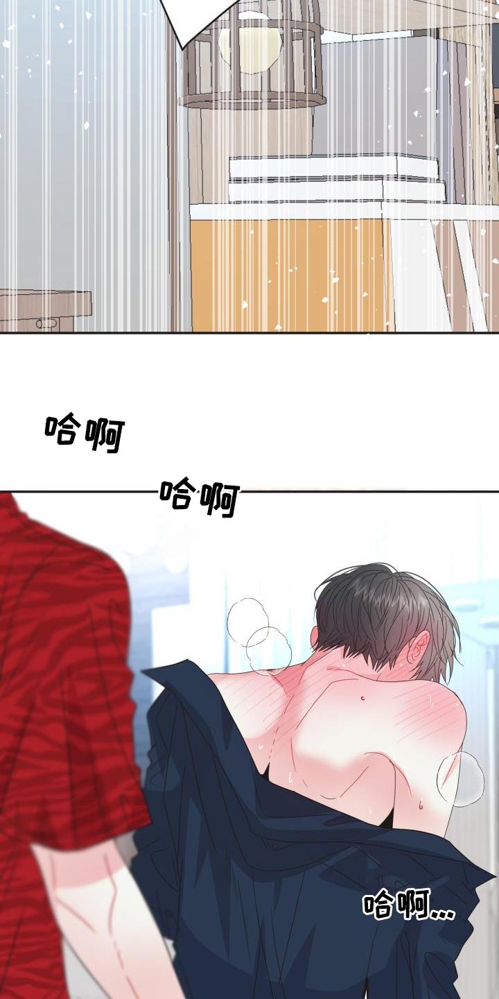 第43章：试穿11