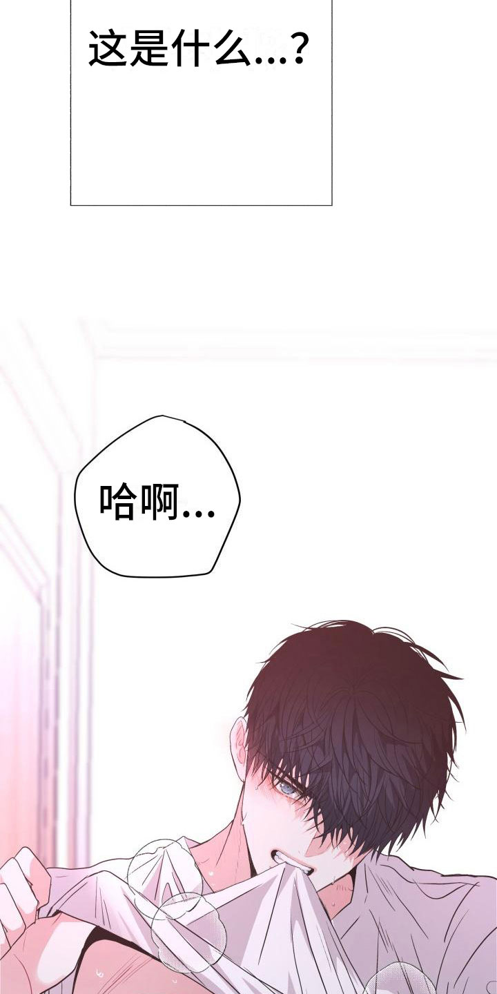 第10章：尝鲜13