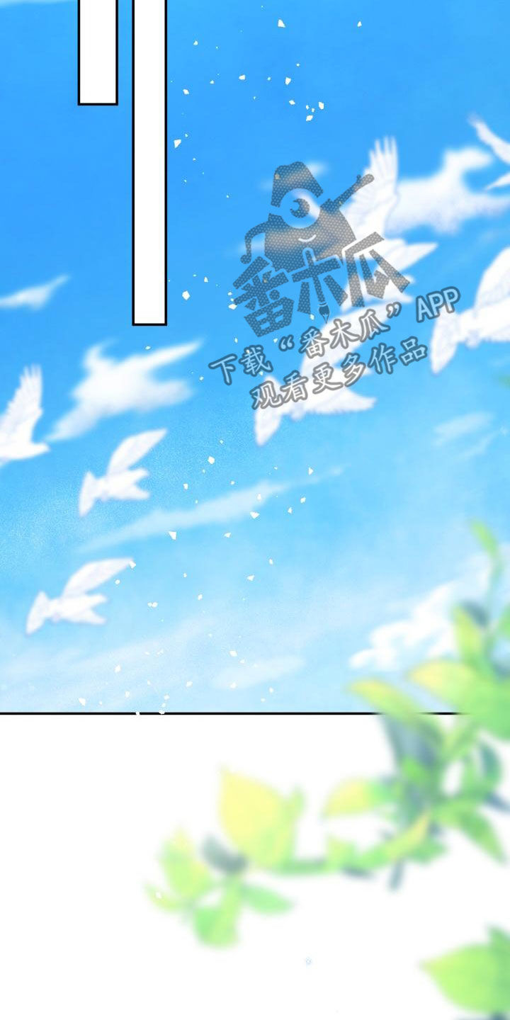 第33章：慢慢了解你26
