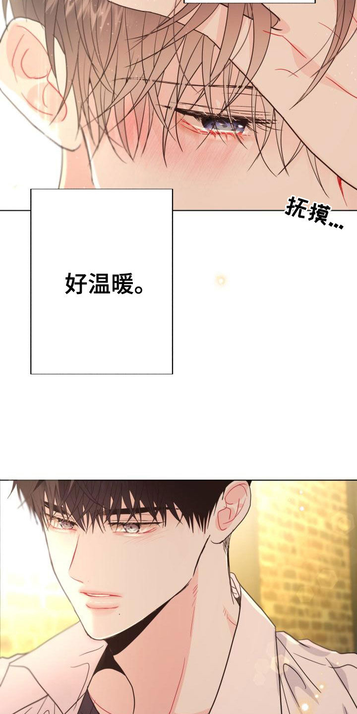 第23章：真实的梦22
