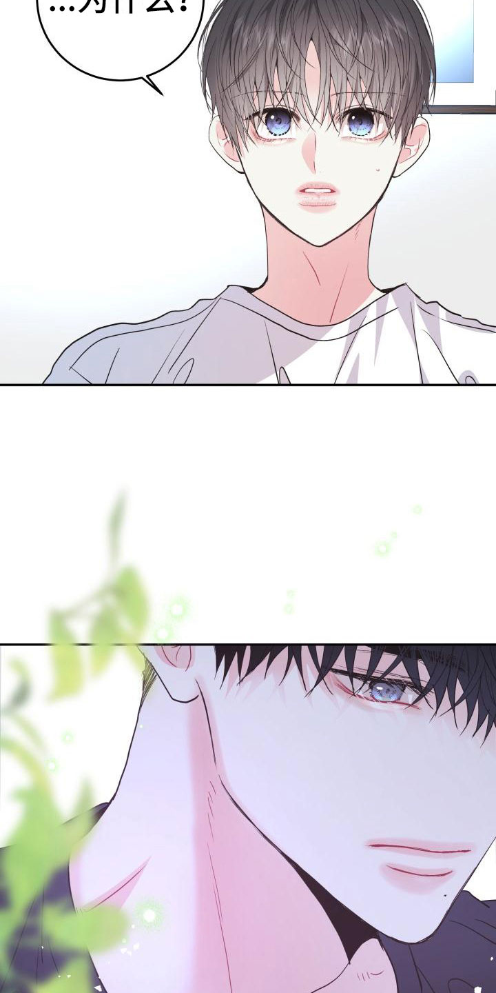 第14章：心动2