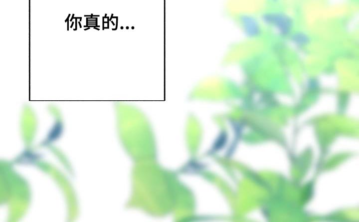 第41章：再试一试9