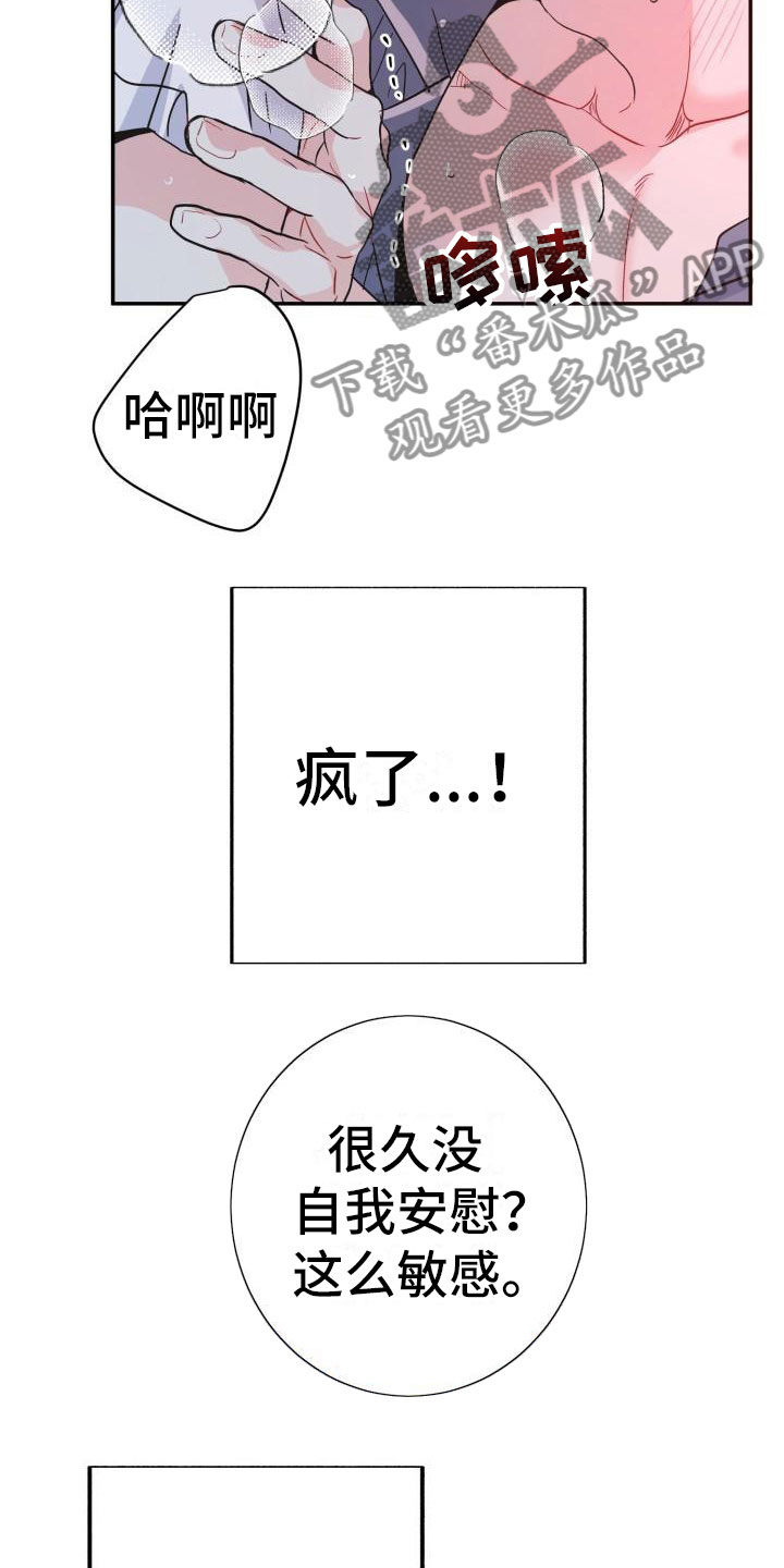第10章：尝鲜3