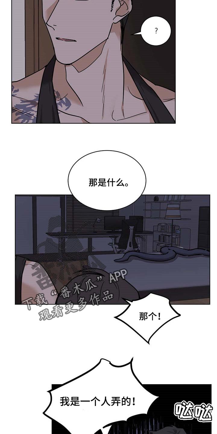 第54章：误解12