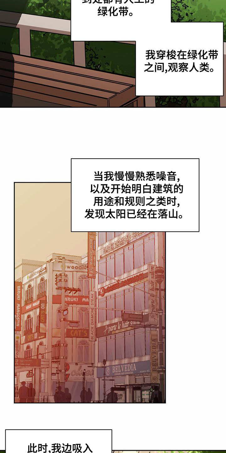 第102章：【第二季】观察8