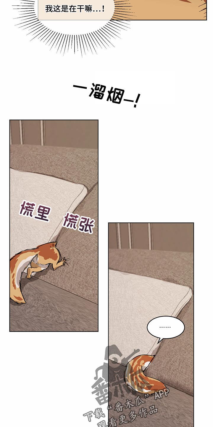 第71章：【特别篇】大尾巴5