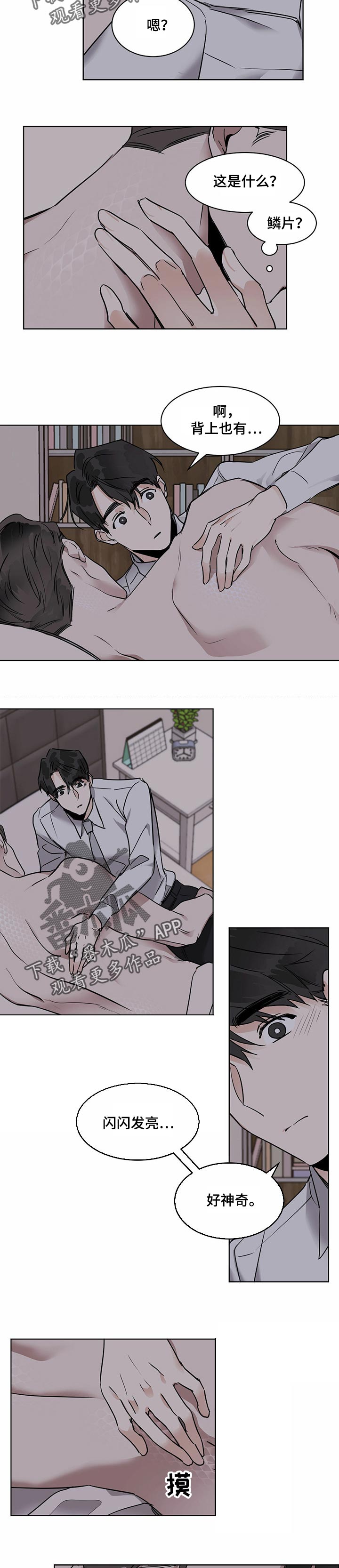 第35章：鳞片4