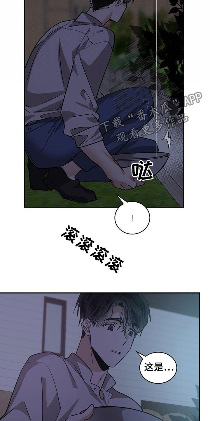 第136章：【第二季】石头11