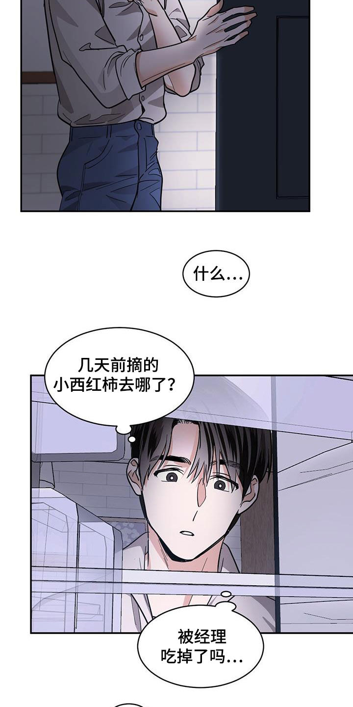 第136章：【第二季】石头8