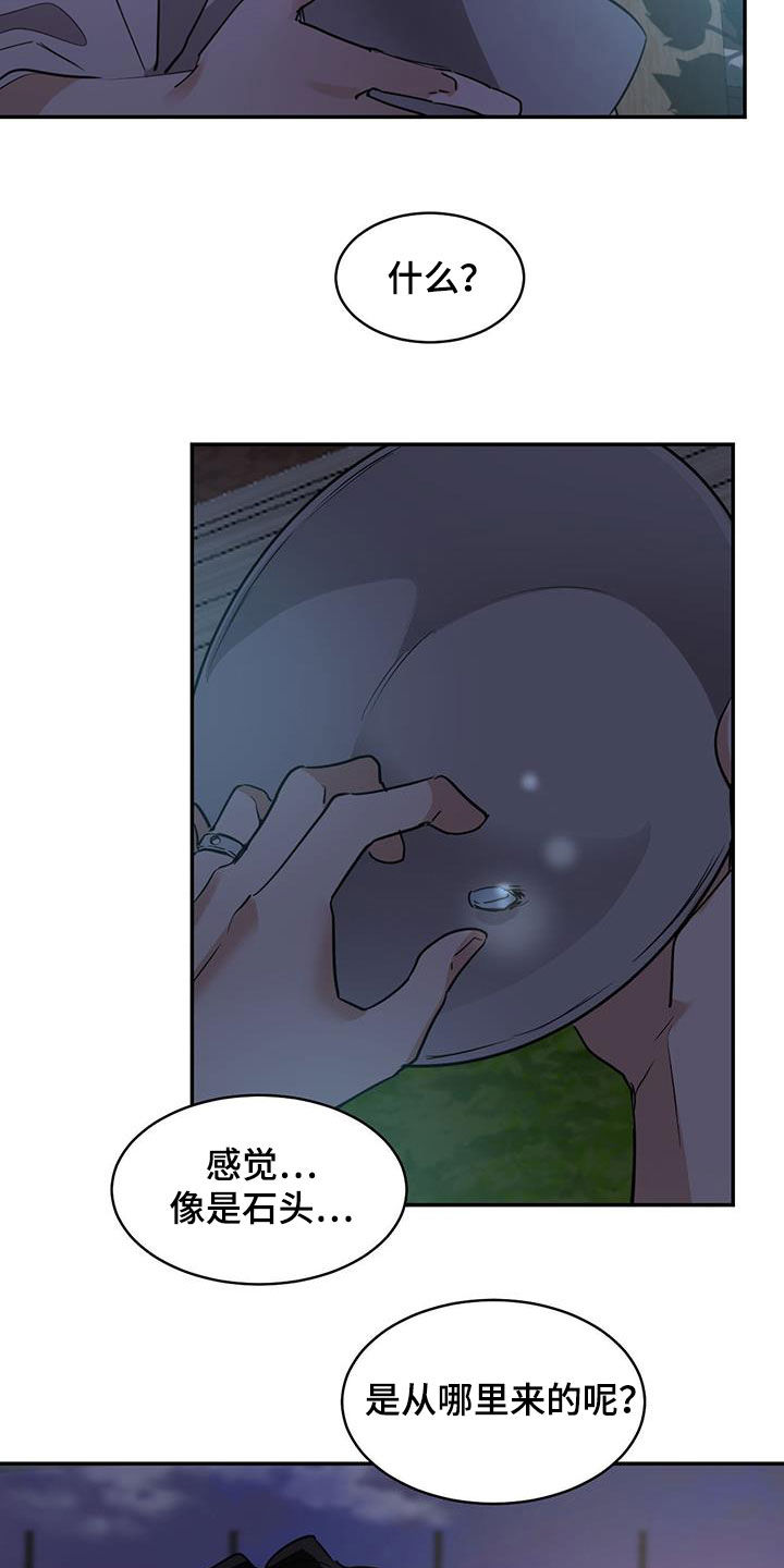 第136章：【第二季】石头12
