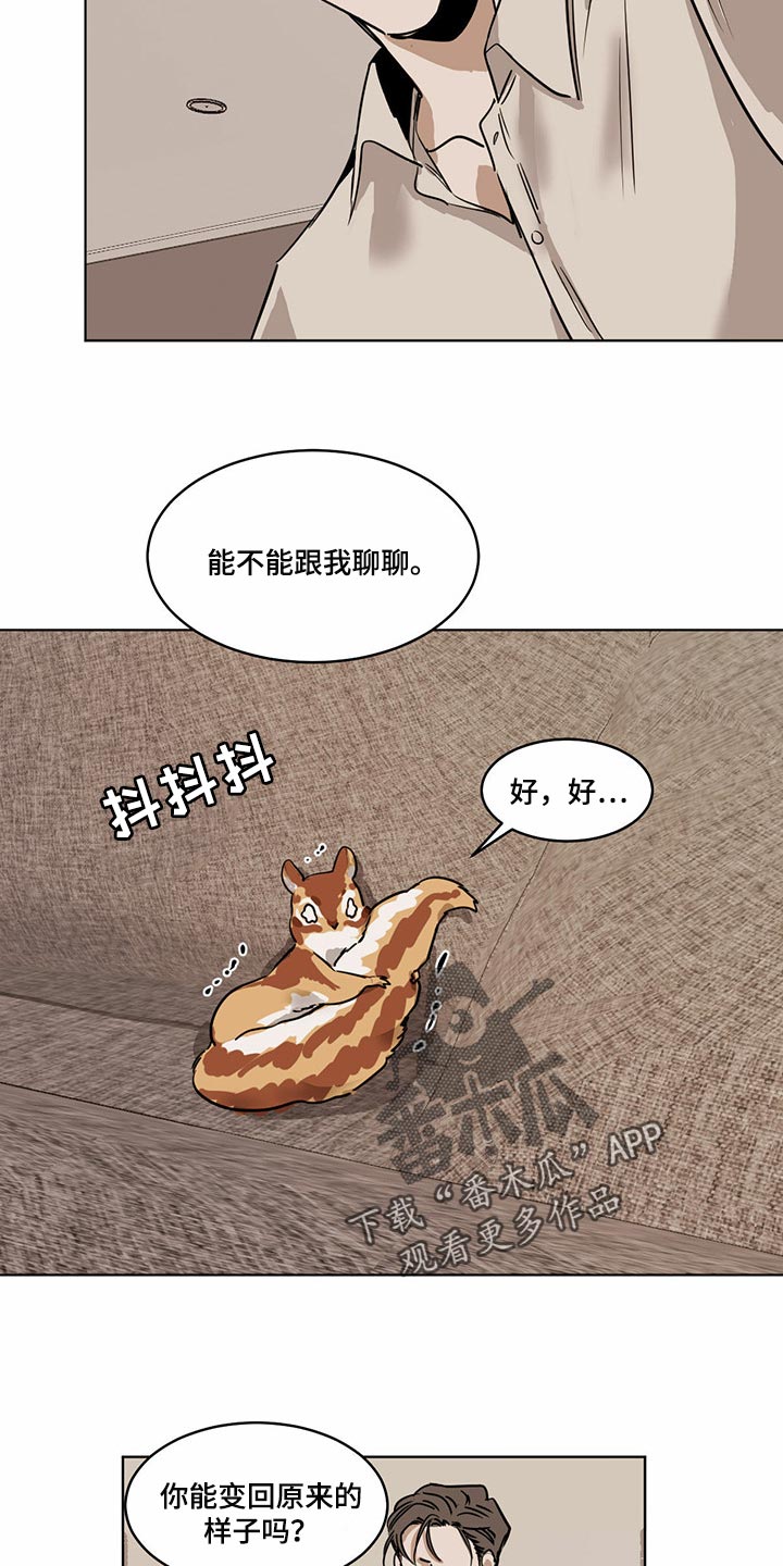 第71章：【特别篇】大尾巴7