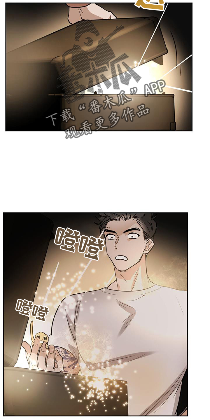 第170章：【第二季】行动17
