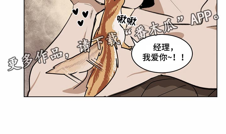 第72章：【特别篇】同款衬衫19