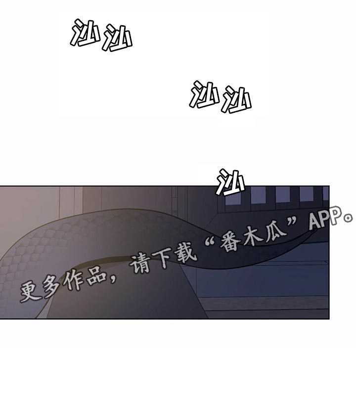 第75章：像是在哪里见过16