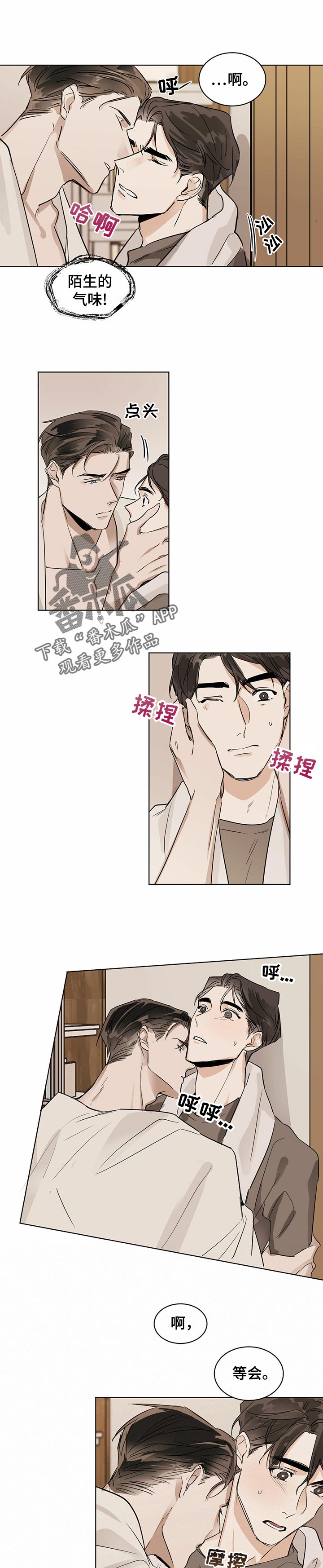 第16章：松鼠？0