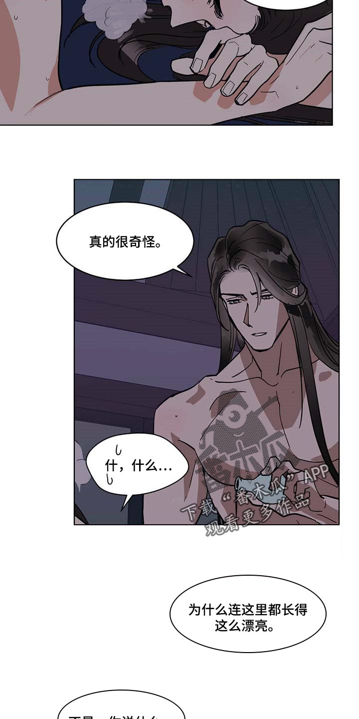 第82章：下一步11