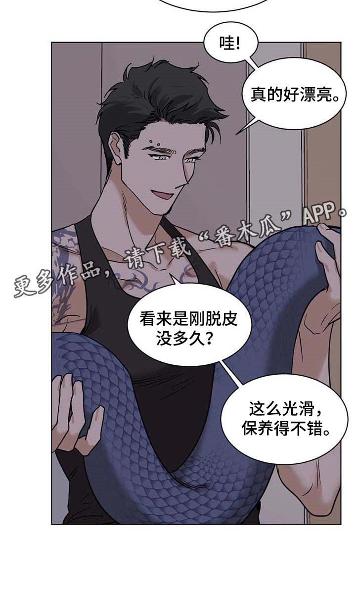 第54章：误解17