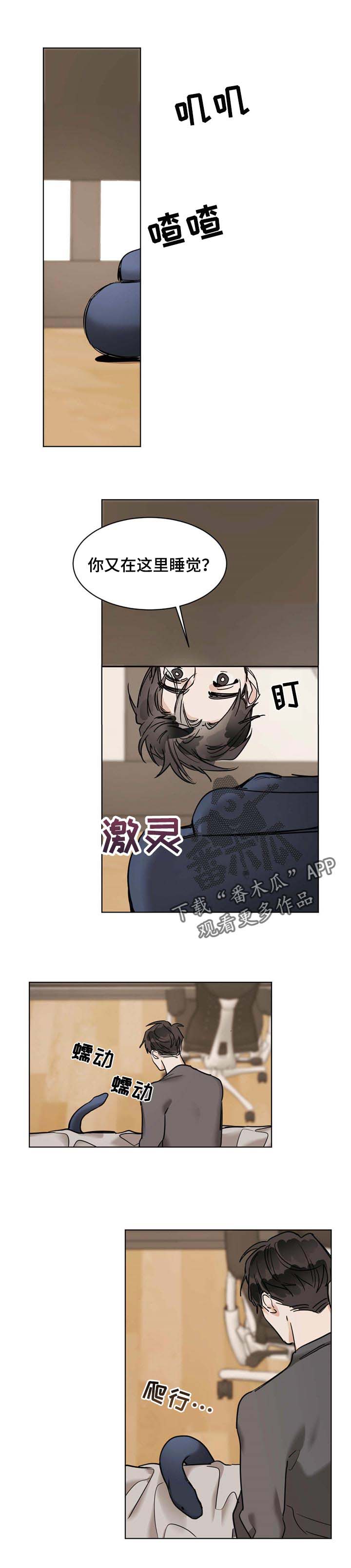 第42章：便装0