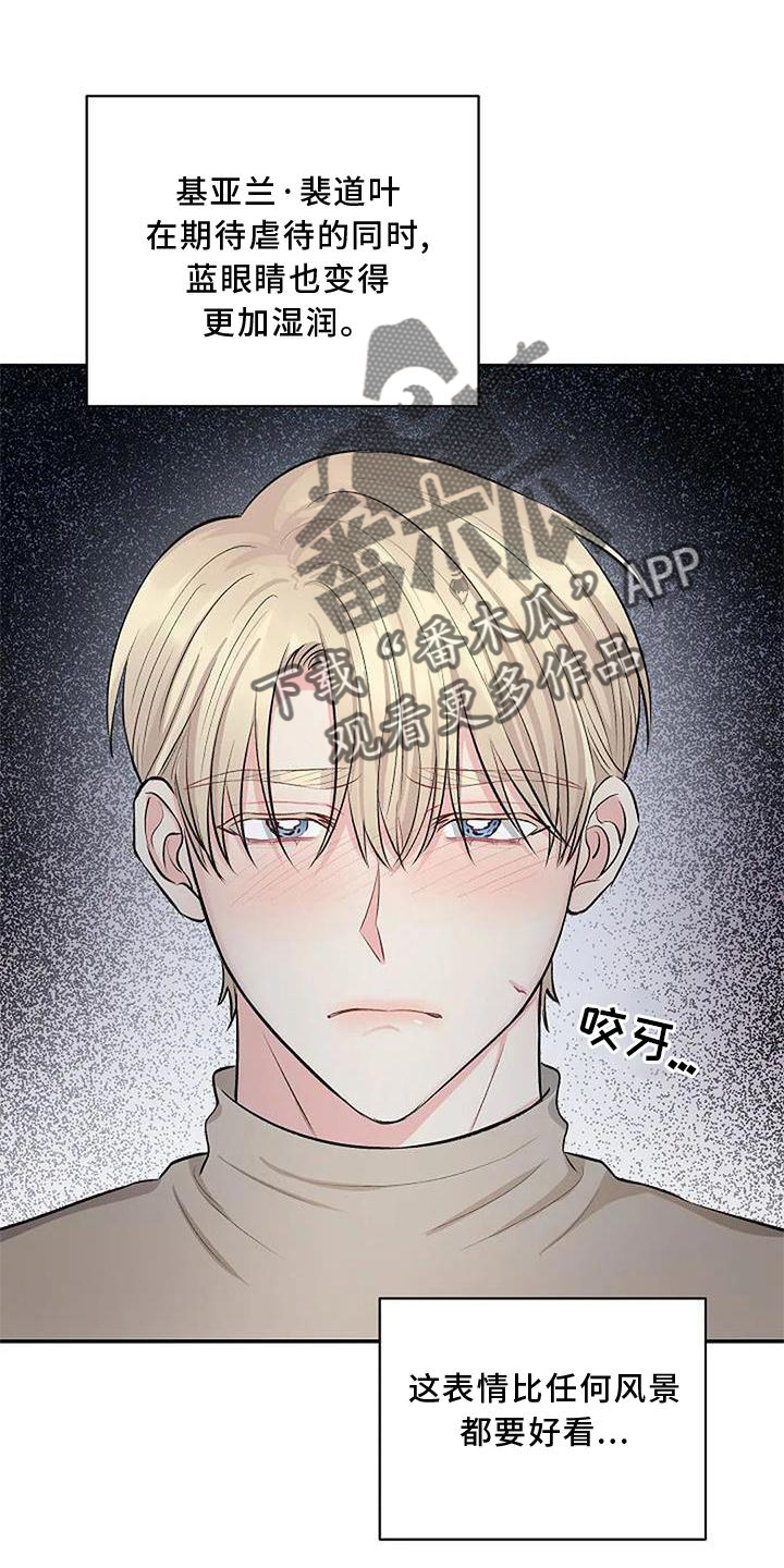 第14章：观察16