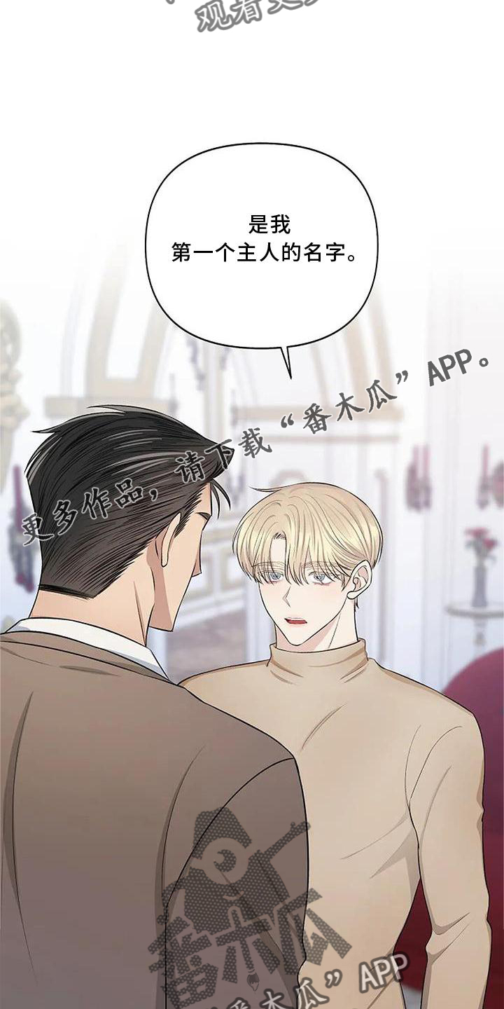 第14章：观察11