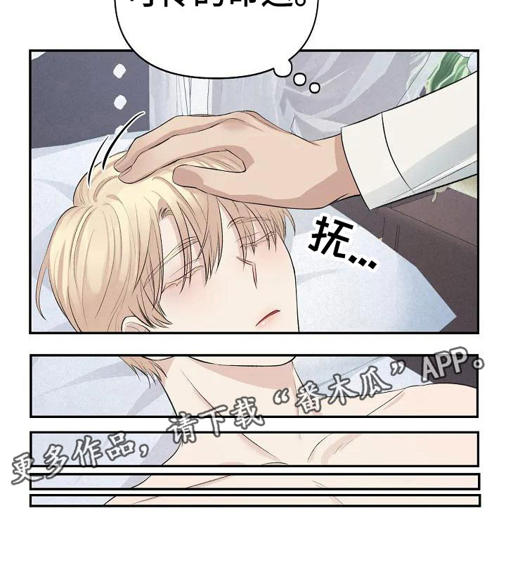 第4章：可怜的命运26