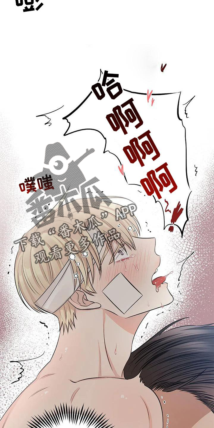 第18章：喜爱8