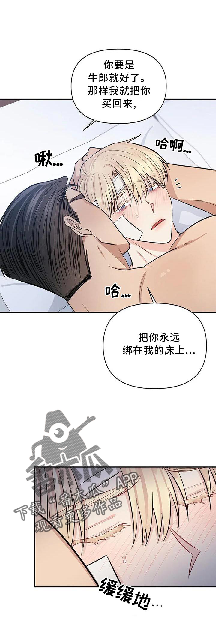 第18章：喜爱18