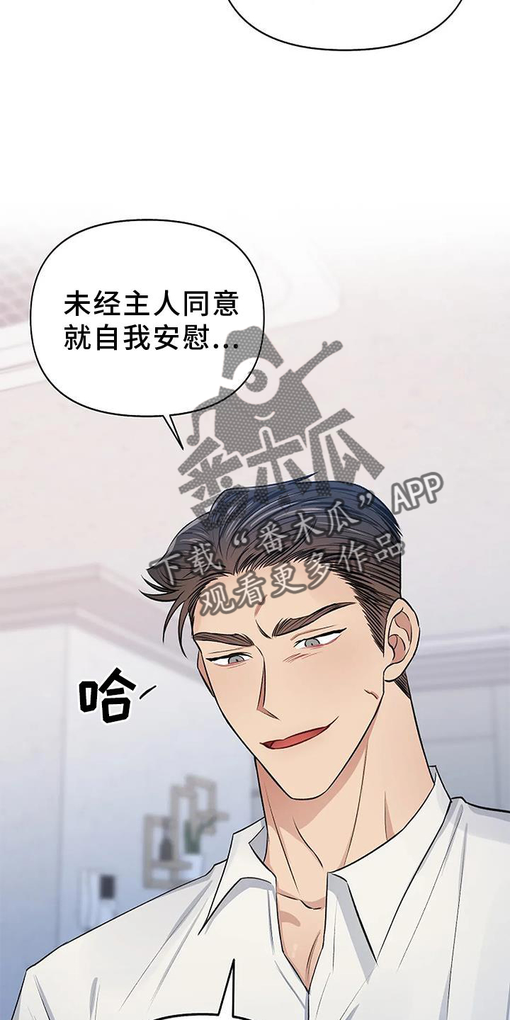 第20章：换个地点22