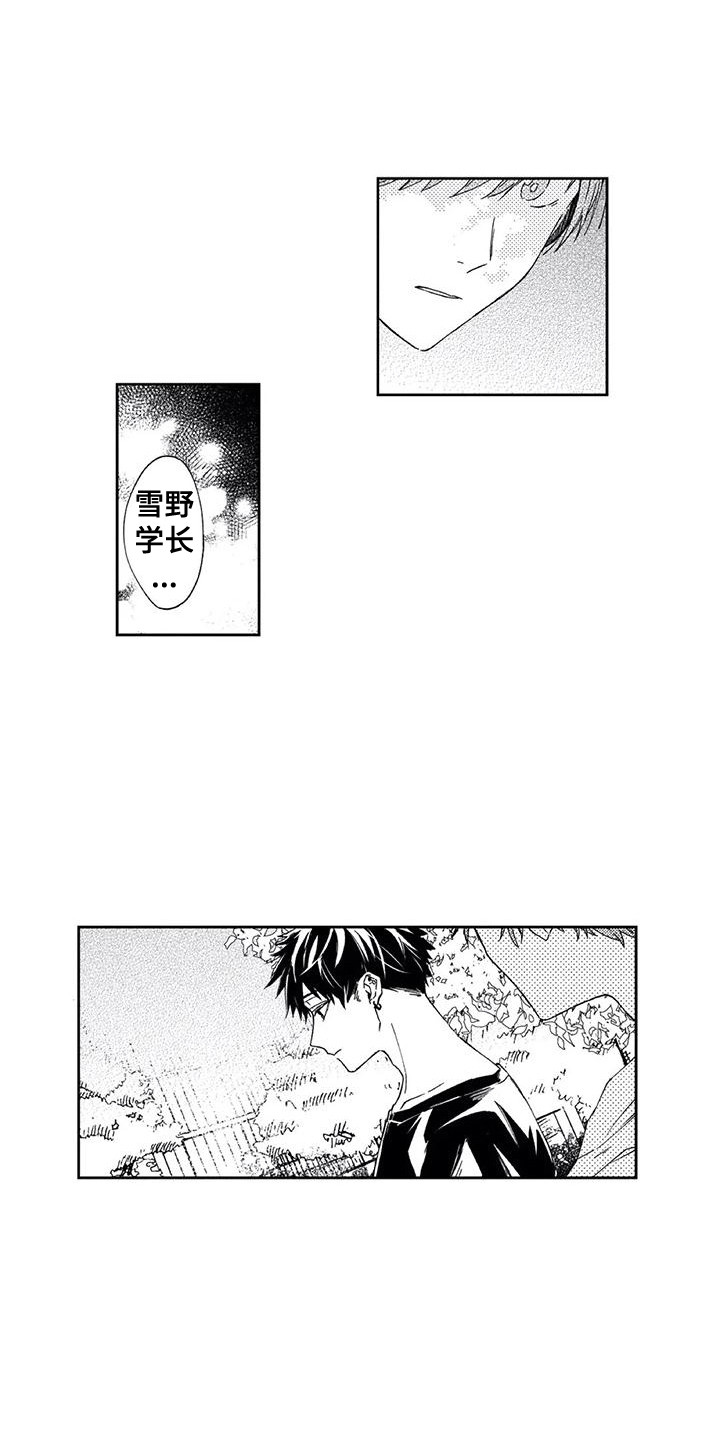 第17章：往事5