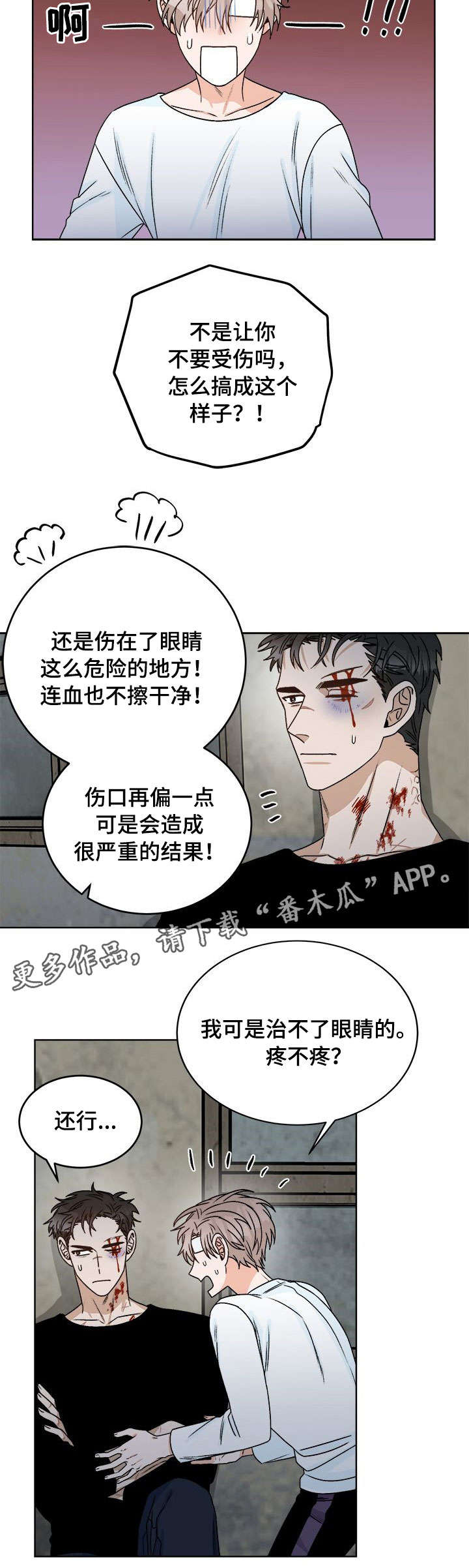 第16章：痛觉6