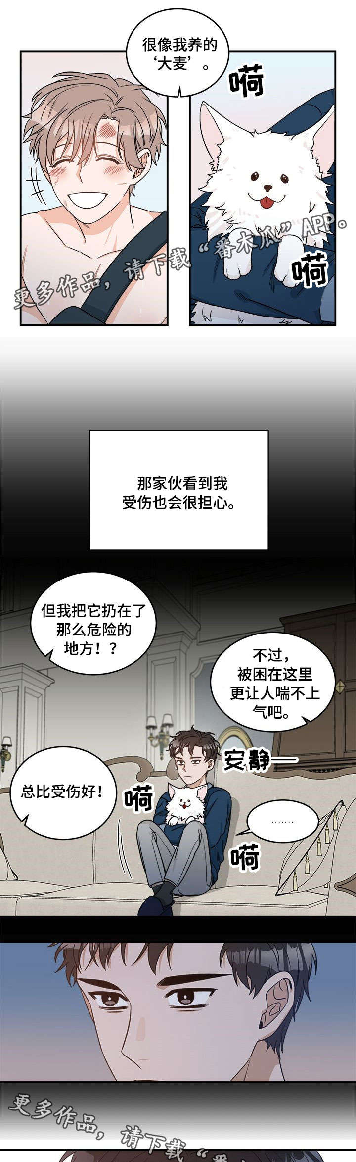 第3章：包扎3