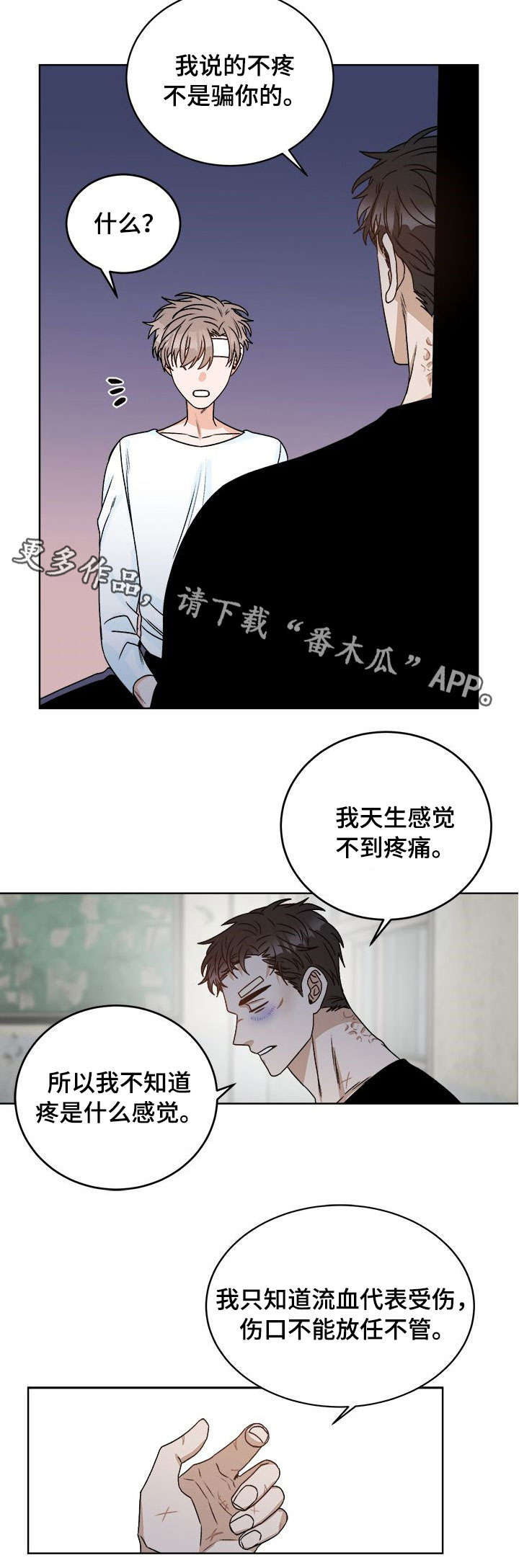 第16章：痛觉10