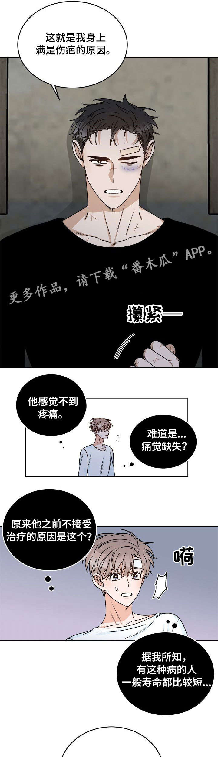 第16章：痛觉11